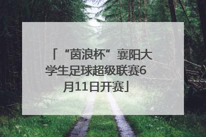 “茵浪杯”襄阳大学生足球超级联赛6月11日开赛