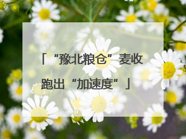 “豫北粮仓”麦收跑出“加速度”