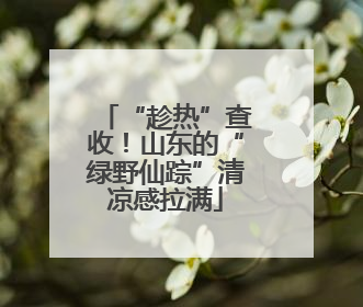 “趁热”查收！山东的“绿野仙踪”清凉感拉满