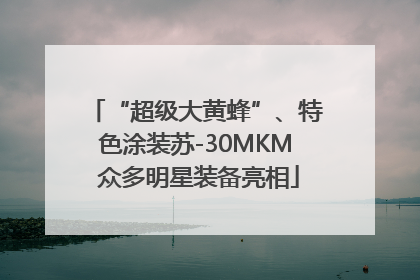 “超级大黄蜂”、特色涂装苏-30MKM 众多明星装备亮相