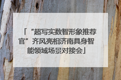 “超写实数智形象推荐官”齐风亮相济南具身智能领域场景对接会