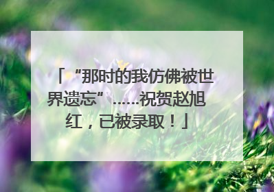 “那时的我仿佛被世界遗忘”……祝贺赵旭红，已被录取！