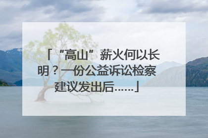 “高山”薪火何以长明？一份公益诉讼检察建议发出后……