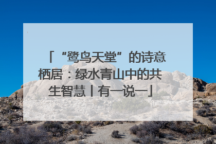 “鹭鸟天堂”的诗意栖居：绿水青山中的共生智慧丨有一说一