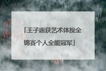 王子露获艺术体操全锦赛个人全能冠军