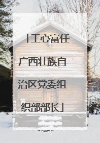 王心富任广西壮族自治区党委组织部部长