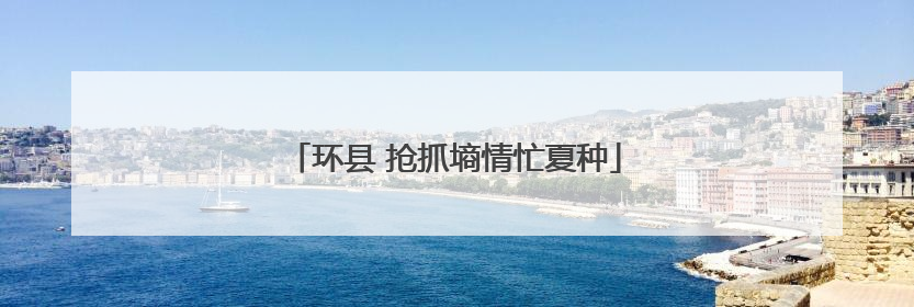 环县 抢抓墒情忙夏种