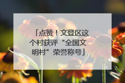点赞！文登区这个村获评“全国文明村”荣誉称号