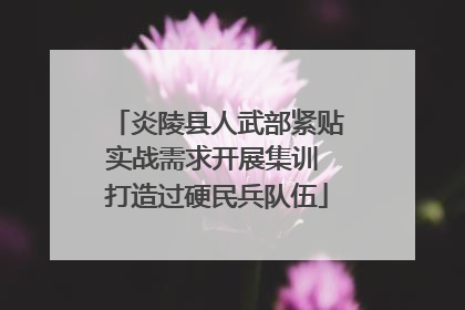 炎陵县人武部紧贴实战需求开展集训 打造过硬民兵队伍