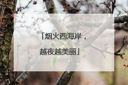 烟火西海岸，越夜越美丽