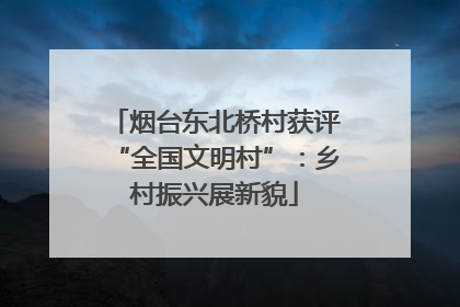 烟台东北桥村获评“全国文明村”：乡村振兴展新貌