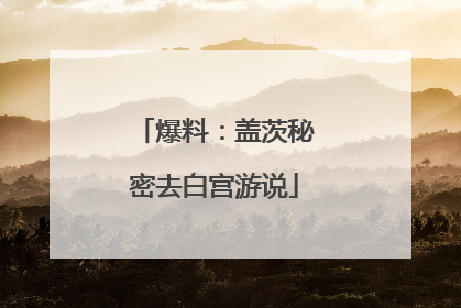 爆料:盖茨秘密去白宫游说
