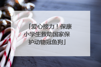 爱心接力！保康小学生救助国家保护动物冠鱼狗