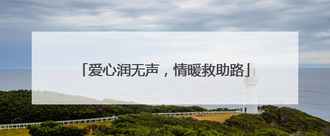 爱心润无声，情暖救助路