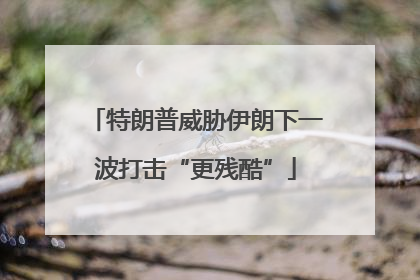 特朗普威胁伊朗下一波打击“更残酷”