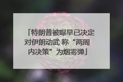 特朗普被曝早已决定对伊朗动武 称“两周内决策”为烟雾弹