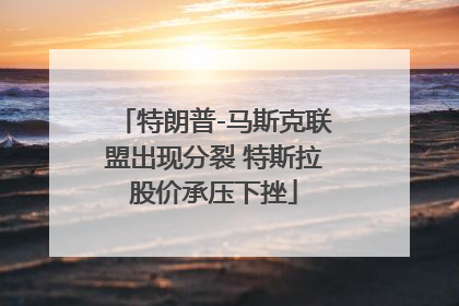 特朗普-马斯克联盟出现分裂 特斯拉股价承压下挫