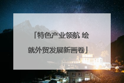 特色产业领航 绘就外贸发展新画卷