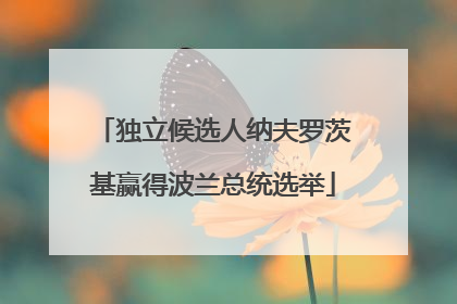 独立候选人纳夫罗茨基赢得波兰总统选举