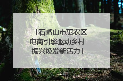 石嘴山市惠农区电商引擎驱动乡村振兴焕发新活力