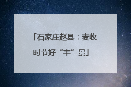 石家庄赵县：麦收时节好“丰”景