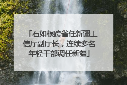 石如根跨省任新疆工信厅副厅长，连续多名年轻干部调任新疆