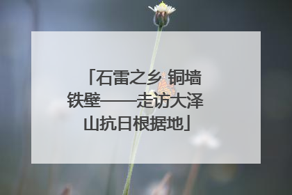 石雷之乡 铜墙铁壁——走访大泽山抗日根据地
