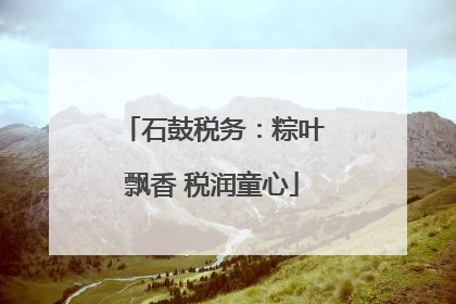石鼓税务：粽叶飘香 税润童心