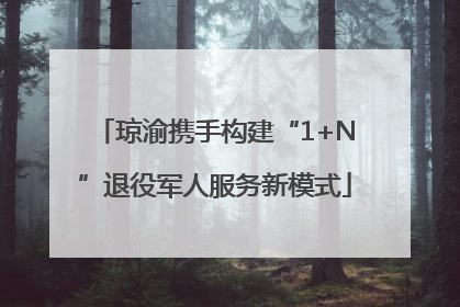 琼渝携手构建“1+N”退役军人服务新模式