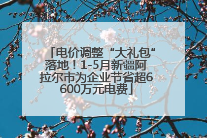 电价调整“大礼包”落地！1-5月新疆阿拉尔市为企业节省超6600万元电费