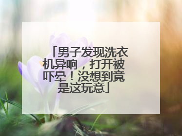 男子发现洗衣机异响，打开被吓晕！没想到竟是这玩意