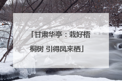 甘肃华亭：栽好梧桐树 引得凤来栖