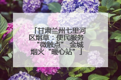 甘肃兰州七里河区烟草：便民服务“微触点” 金城烟火“暖心站”
