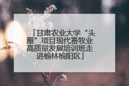 甘肃农业大学“头雁”项目现代畜牧业高质量发展培训班走进榆林榆阳区