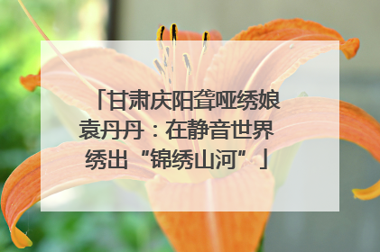 甘肃庆阳聋哑绣娘袁丹丹：在静音世界绣出“锦绣山河”