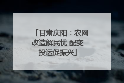 甘肃庆阳：农网改造解民忧 配变投运促振兴