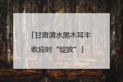 甘肃清水黑木耳丰收应时“绽放”