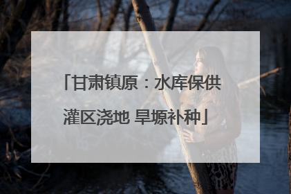 甘肃镇原：水库保供 灌区浇地 旱塬补种