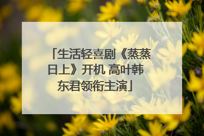 生活轻喜剧《蒸蒸日上》开机 高叶韩东君领衔主演