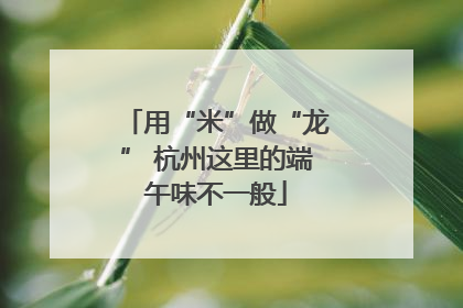 用“米”做“龙” 杭州这里的端午味不一般