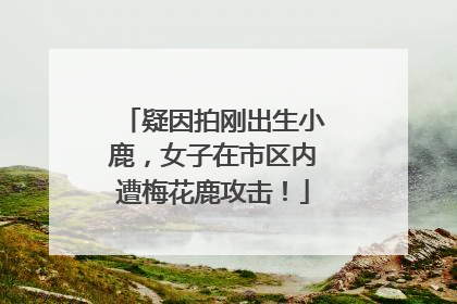 疑因拍刚出生小鹿，女子在市区内遭梅花鹿攻击！