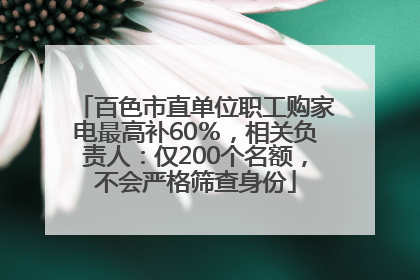 百色市直单位职工购家电最高补60％，相关负责人：仅200个名额，不会严格筛查身份