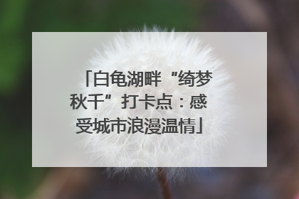 白龟湖畔“绮梦秋千”打卡点：感受城市浪漫温情
