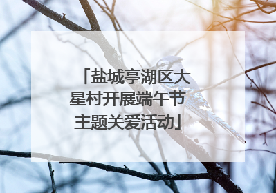 盐城亭湖区大星村开展端午节主题关爱活动