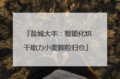 盐城大丰：智能化烘干助力小麦颗粒归仓