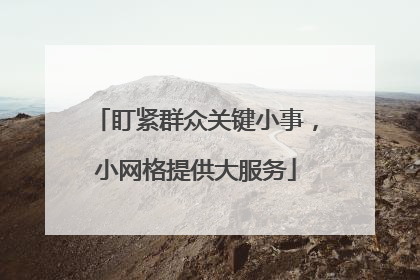 盯紧群众关键小事，小网格提供大服务