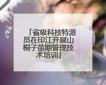 省级科技特派员在印江开展山桐子苗期管理技术培训