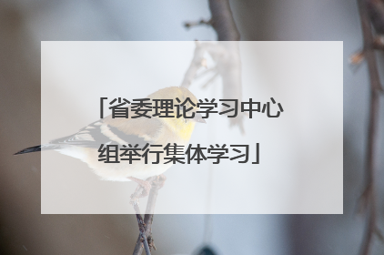 省委理论学习中心组举行集体学习