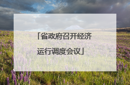 省政府召开经济运行调度会议