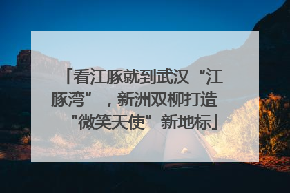 看江豚就到武汉“江豚湾”，新洲双柳打造“微笑天使”新地标